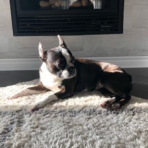 Meet your Posher, Vanessa